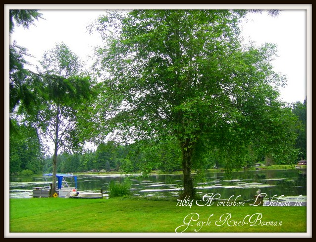 IMGP3279.jpg resized framed