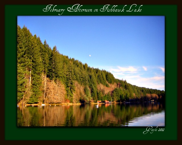 February Afternoon on Fishhawk Lake framed