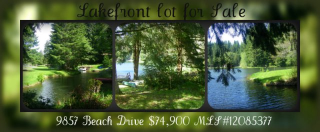 Lakefront lot Collage