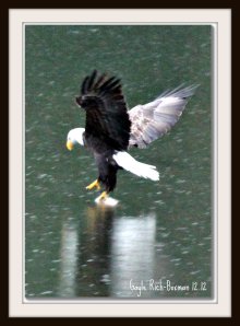 Trying to retrieve it!