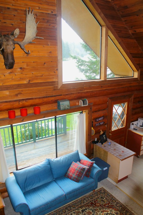 Moose head that needed to go!