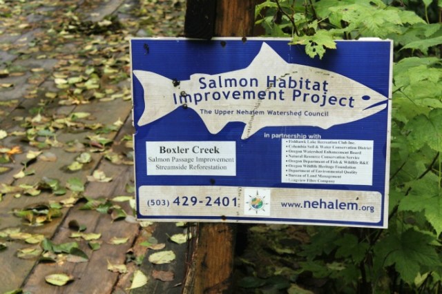 Salmon Habitat Project Boxler Creek at Fishhawk Lake