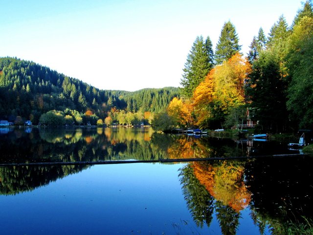 favorite fall photo of 2006 Gayle Rich-Boxman IMG_1063