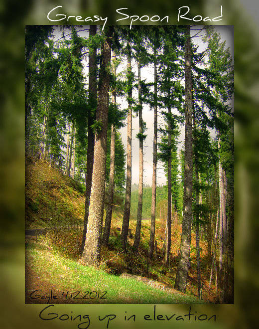 Greasy Spoon Rd 014