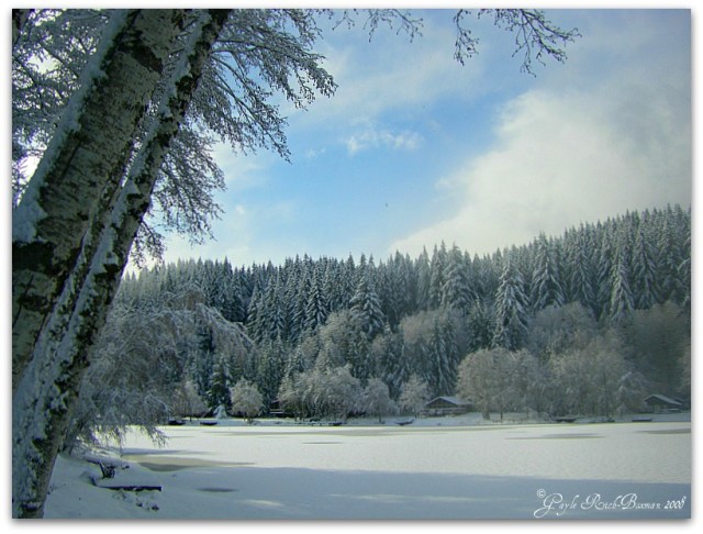 Winter on Fishhawk Lake 2008 Photographed by Gayle Rich-Boxman