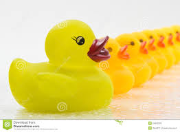 ducks in a row