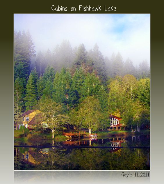 Lakefront cabins on Northshore Drive Fishhawk Lake-Photo by Gayle Rich-Boxman